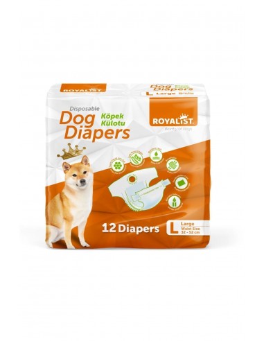 Royalist Köpek Külotu 12'li L