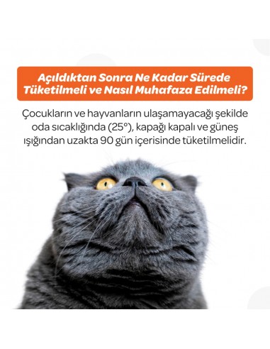 Vet's Plus Multi-Vitamin Kedi ve Köpekler İçin...