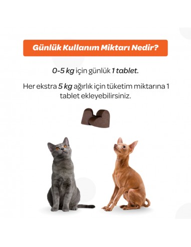 Vet's Plus Multi-Vitamin Kedi ve Köpekler İçin...