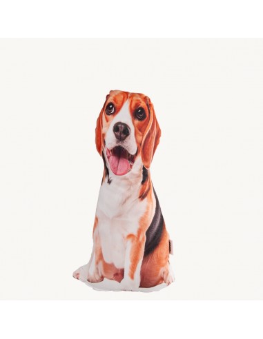 Lepus 3 Boyutlu Köpek Yastığı NO16