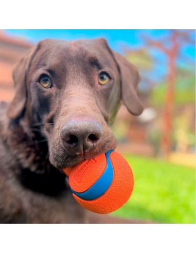 Chuckit! Ultra Tumbler Oyun Topu