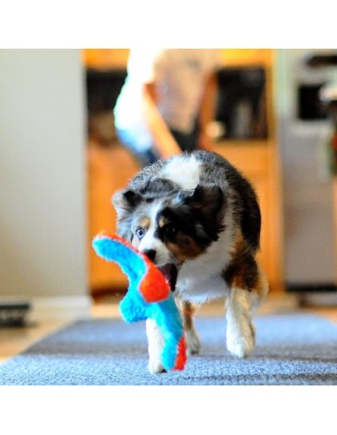 Chuckit! Indoor Squirrel Eve Özel Yumuşak...