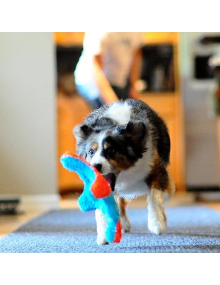 Chuckit! Indoor Squirrel Eve Özel Yumuşak Sincap Frizbi Köpek Oyuncağı