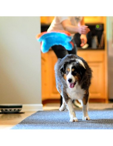 Chuckit! Indoor Squirrel Eve Özel Yumuşak...