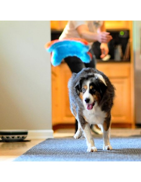 Chuckit! Indoor Squirrel Eve Özel Yumuşak Sincap Frizbi Köpek Oyuncağı