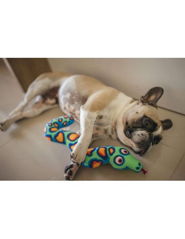 Fat Cat Yankers Sesli Köpek Oyuncağı