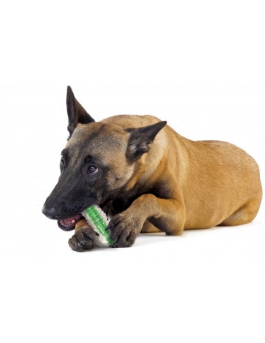 Petstages Crunchcore Bone Dog Chew Toy Köpek...