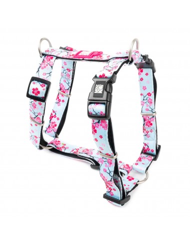 Max & Molly Cherry Bloom Köpek Göğüs Tasması XS