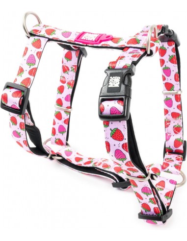 Max & Molly Strawberry Dream Köpek Göğüs Tasması S