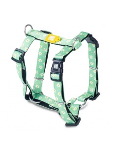 Max & Molly Margarite Köpek Göğüs Tasması M