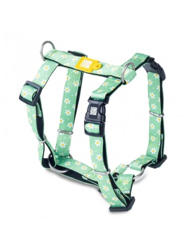 Max & Molly Margarite Köpek Göğüs Tasması M