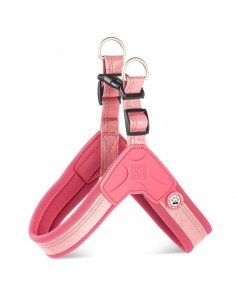 Matrix 2.0 Akıllı Künyeli Sport Köpek Göğüs Tasması -...