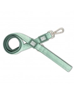 Matrix 2.0 Köpek Gezdirme Kayışı - Jade (XS)