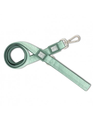 Matrix 2.0 Köpek Gezdirme Kayışı - Jade (XS)