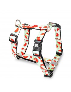 Max & Molly Watermelon Köpek Göğüs Tasması L