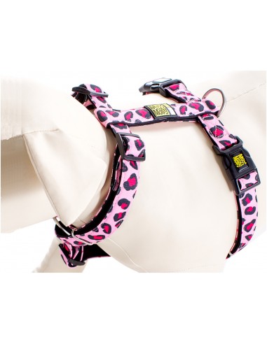 Max & Molly Leopard Pink Köpek Göğüs Tasması XS