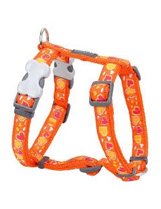 Reddingo Breezy Love Desenli Turuncu Köpek Göğüs Tasması...