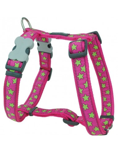 Reddingo Pembe Üzerine Lime Yıldızlı Köpek...