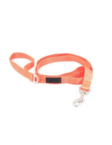 Tailpetz Turuncu Köpek Gezdirme Tasması Medium