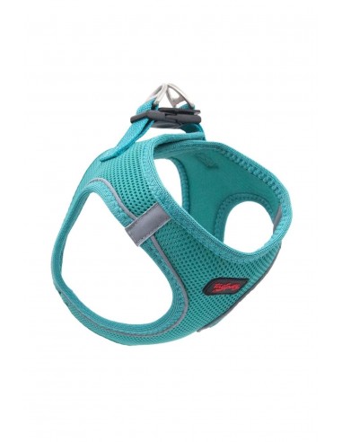 TailPetz Airmesh Emerald Köpek Göğüs Tasması L...