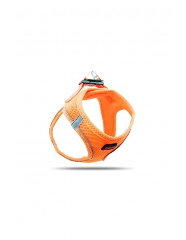 Tailpetz Köpek Göğüs Tasması Neon Turuncu s